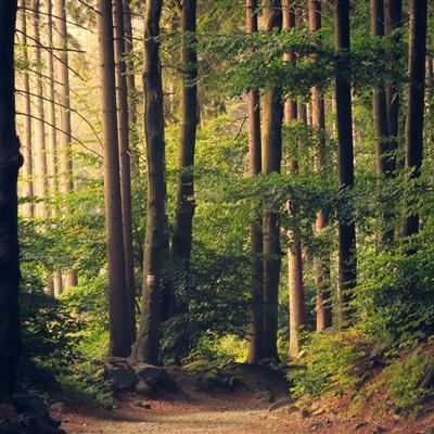 b体育官方下载入口手机版