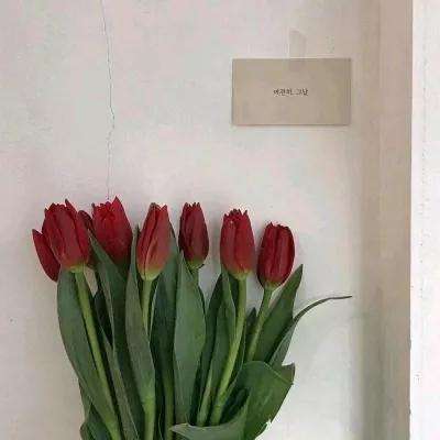 澳门黄金城app下载