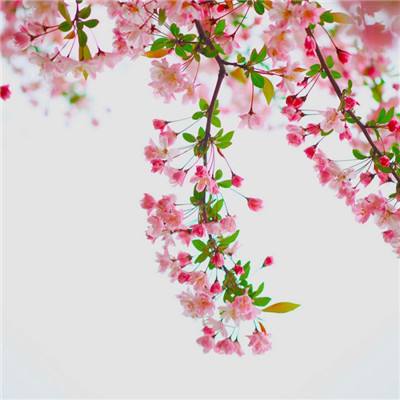 leyu·乐鱼中国体育官方入口截图